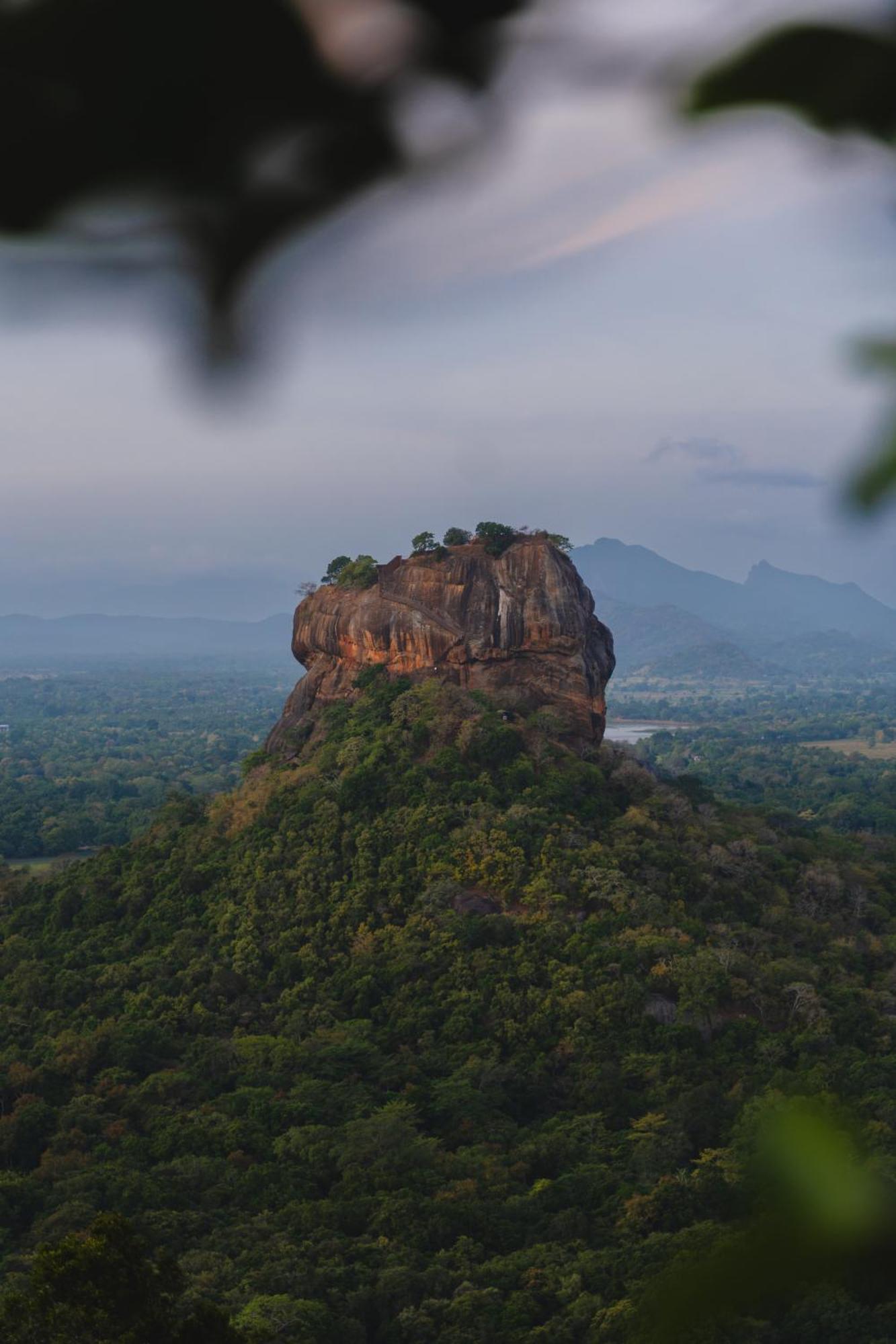 Elephant Trio Sigiriya Exterior photo